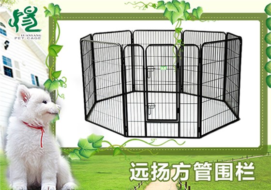 寵物籠批發(fā)