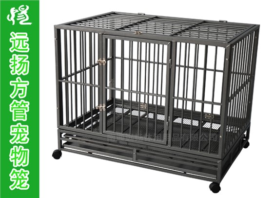 大狗籠