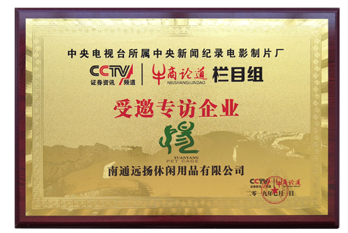 CCTV牛商論道-遠揚