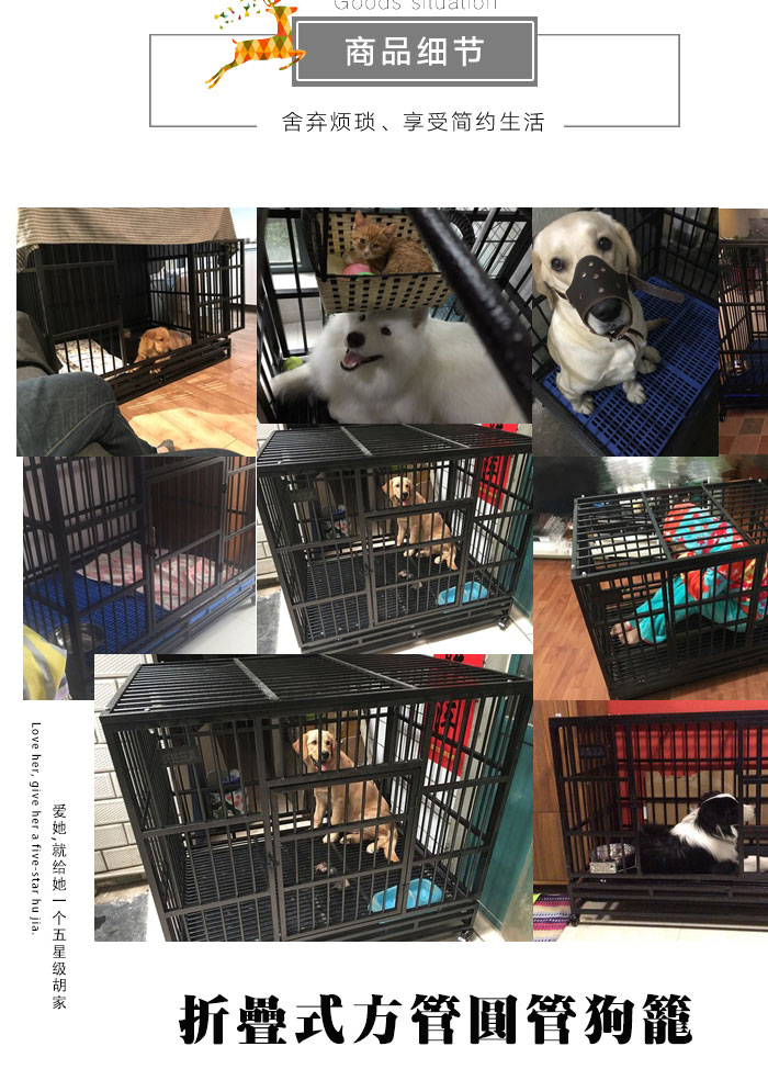 方管狗籠子批發